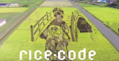 Rice Code