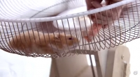 The Hamster Stunt: Charlie the Hero