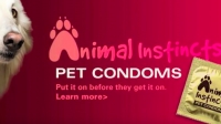 Animal Instincts Pet Condoms